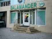 Salamander