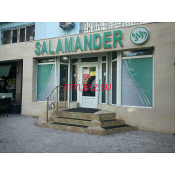 Salamander