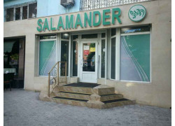 Salamander